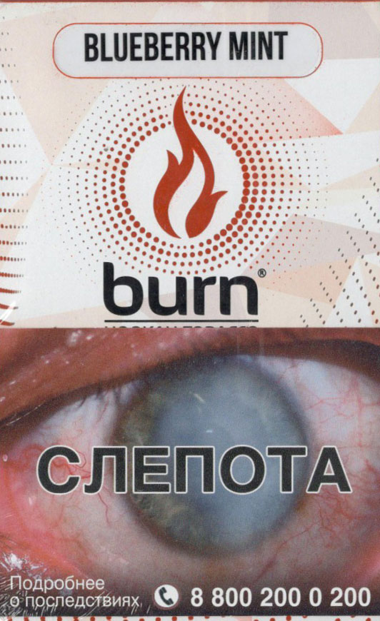 Burn- Мятная Черника (Blueberry Mint) фото